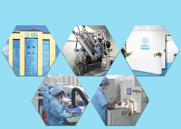 刷博士兒童聲波電動牙刷頭生產廠家